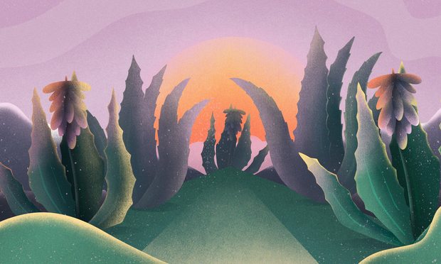 Jewelry in Bloom illustration